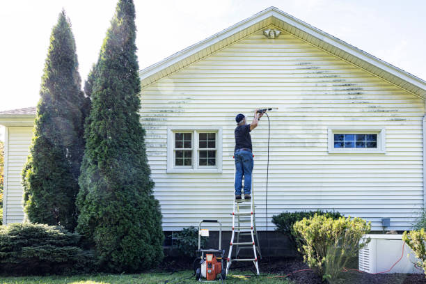 Best Solar Panel Cleaning  in Walden, TN
